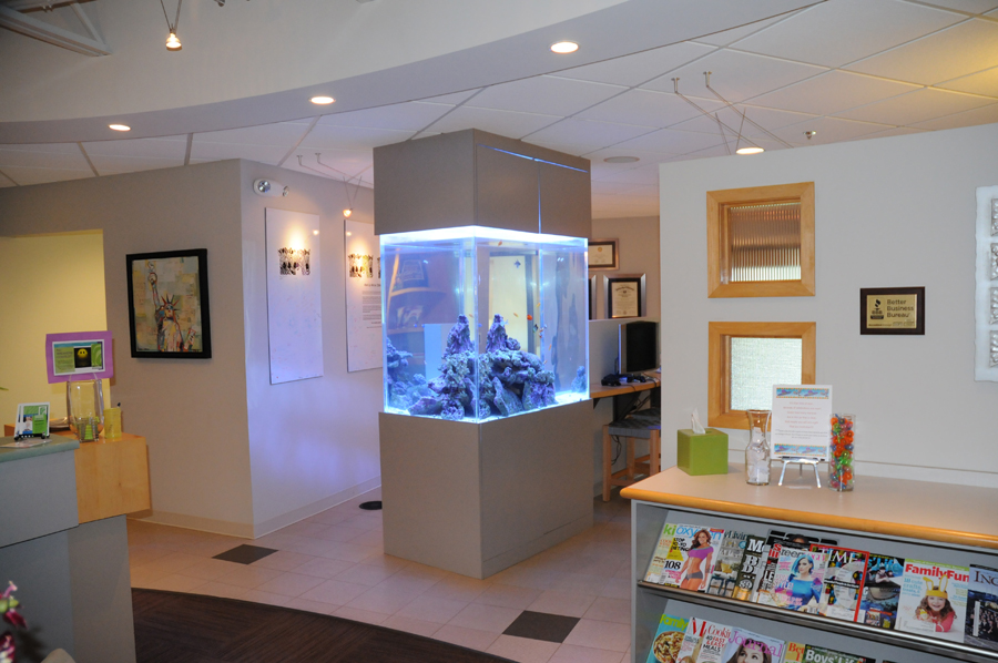 Reef Tectonics Aquarium Maintenance and Design Lincoln & Omaha